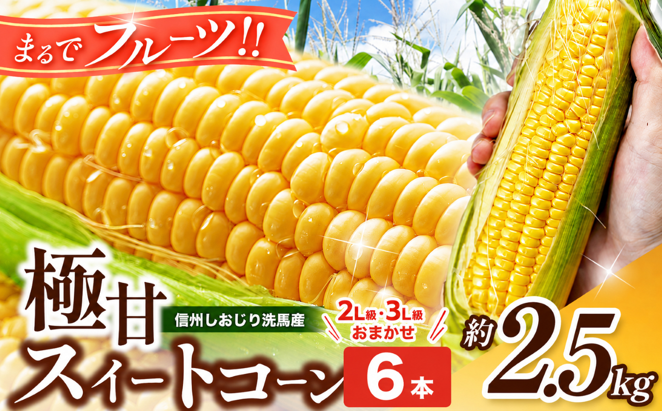 【2026年先行予約】 極甘スイートコーン 2L級・3L級おまかせ6本 約2.5kg （高原野菜の名産地　信州しおじり洗馬産）【7月末～8月中旬にかけて順次発送予定】| 野菜 とうもろこし トウモロコシ スイートコーン イエロー種 洗馬 朝採り 長野県 塩尻市
