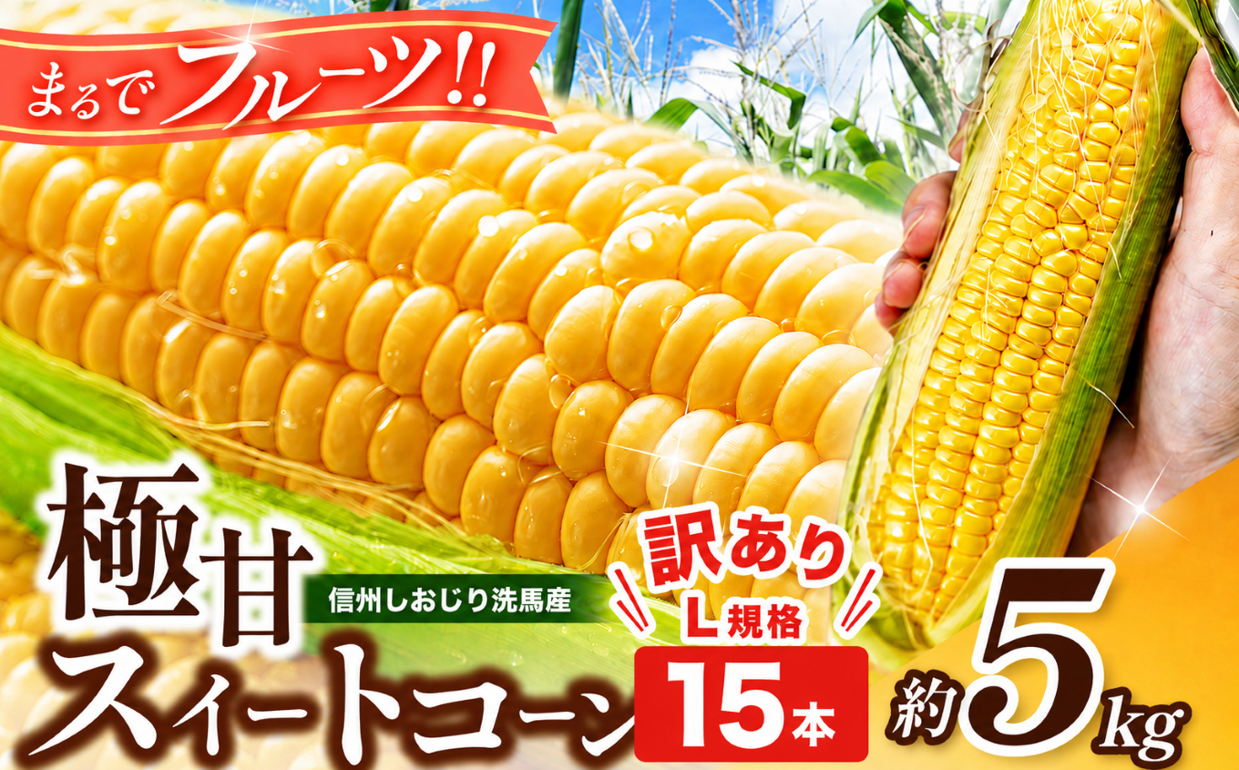 【2026年先行予約】 極甘スイートコーン 訳あり L規格15本 約5kg （高原野菜の名産地　信州しおじり洗馬産）【7月末～8月中旬にかけて順次発送予定】| 野菜 とうもろこし トウモロコシ スイートコーン イエロー種 洗馬 朝採り 訳あり 規格外品 形不揃い サイズ不揃い 長野県 塩尻市