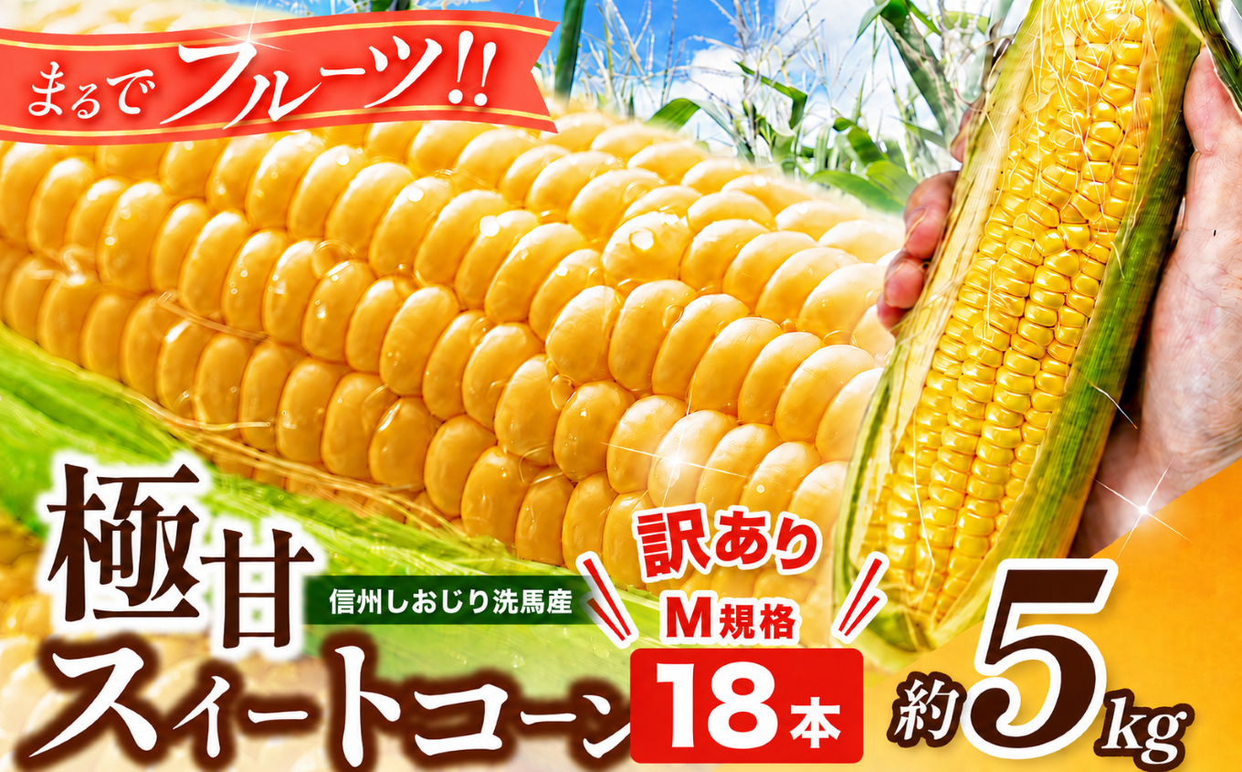 【2026年先行予約】 極甘スイートコーン 訳あり M規格18本 約5kg （高原野菜の名産地　信州しおじり洗馬産）【7月末～8月中旬にかけて順次発送予定】| 野菜 とうもろこし トウモロコシ スイートコーン イエロー種 洗馬 朝採り 訳あり 規格外品 形不揃い サイズ不揃い 長野県 塩尻市