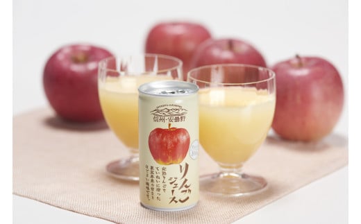 信州安曇野ストレート果汁100%りんごジュース（30本入り）[6149912]