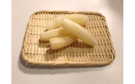 【ありがとう農縁 福島】信州しおじり産 アンデス原産野菜 ≪自然栽培≫ヤーコン3㎏ | やーこん ヤーコン フラクトオリゴ糖 イヌリン アンデス原産野菜 自然栽培 塩尻市 長野県 信州