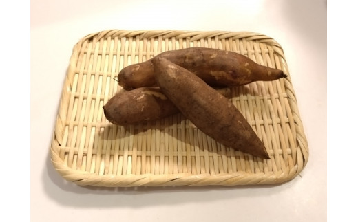 【ありがとう農縁 福島】信州しおじり産 アンデス原産野菜 ≪自然栽培≫ヤーコン3㎏ | やーこん ヤーコン フラクトオリゴ糖 イヌリン アンデス原産野菜 自然栽培 塩尻市 長野県 信州