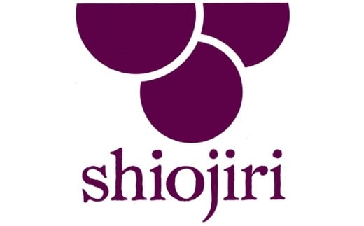 ≪木曽漆器≫ 8.0 パスタ皿 【 黒 】 | 日用品 食器 皿 漆器 お皿 パスタ皿 プレート モダン 和モダン 黒 木曽漆器 信州 木曽 木曾 長野県 塩尻市