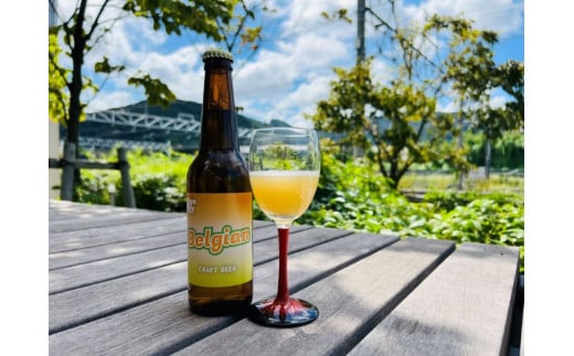 クラフトビール6本 3種飲み比べセット | お酒 酒 おさけ クラフト ビール くらふと びーる 信州 りんご 飲み比べ みかん ミカン 蜜柑 山椒 HAZY IPA 長野県 塩尻市