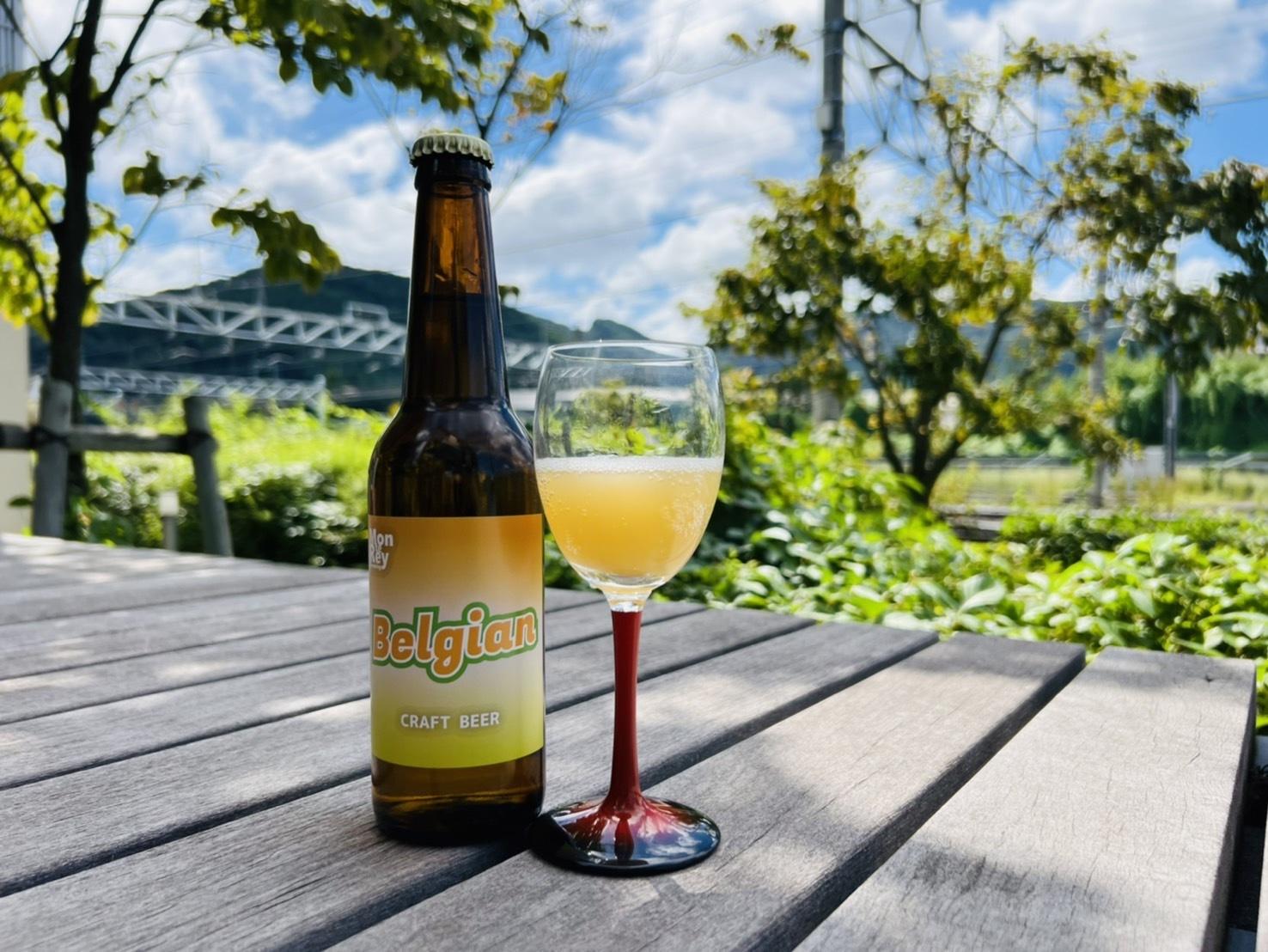 クラフトビール6本　山椒・みかんで醸造したベルジャンスタイルビール | お酒 酒 おさけ クラフト ビール くらふと びーる さんしょう 山椒 みかん ミカン 蜜柑 長野県 塩尻市