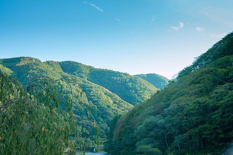 クラフトビール6本　山椒・みかんで醸造したベルジャンスタイルビール | お酒 酒 おさけ クラフト ビール くらふと びーる さんしょう 山椒 みかん ミカン 蜜柑 長野県 塩尻市