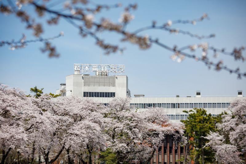 荳豕翫ラ繝繧ッシ医励Ξ繝溘い繝シ | 讀懆ィコ 逞髯「 閹オ閾捺、懆ィコ 閹オMRI讀懆ィコ MRI 閹オ雜髻ウ豕「 閹オ閻ォ逖阪槭シ繧ォ繝シ 豁ッ遘第、懆ィコ 蜿」閻泌讀懈渊 驕句虚謖蟆 豁ッ遘 閹閭ア雜髻ウ豕「 鬪ィ蟇蠎ヲ雜髻ウ豕「 髟キ驥守恁 蝪ゥ蟆サ蟶