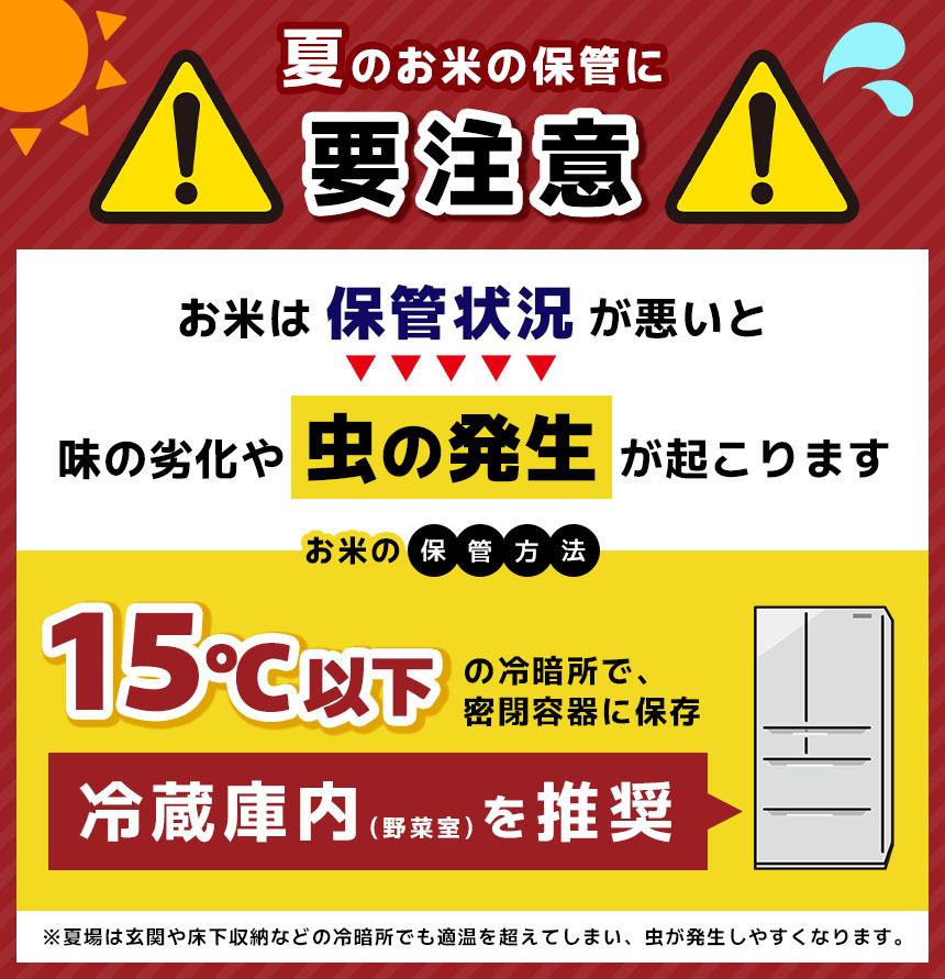 令和7年度産 コシヒカリ 白米 約5kg |  コシヒカリ こしひかり お米 ふっくら 甘み こだわり 減農薬 ご飯 朝ごはん 人気 長野県 塩尻市