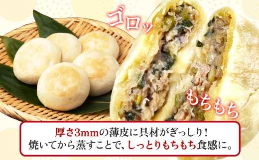 【無地熨斗】水城漬物工房「うす皮信州おやき」6種 10個 詰め合わせ | おやき 信州 郷土料理 うす皮 詰め合わせ 野菜たっぷり 朝食 夜食 ヘルシー 熨斗 無地熨斗 長野県 塩尻市