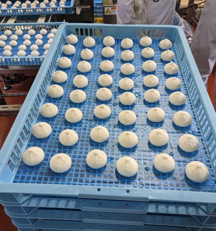 【無地熨斗なし】 有名料理店と共同開発！「WaiWai水餃子」12個×3P 計36個 | 水餃子 冷凍餃子 餃子 共同開発 中華 きぬあかり もちもち 傳 ミシュランガイド 世界のベストレストラン アレンジ ジューシー 長野県 塩尻市 長野県 塩尻市