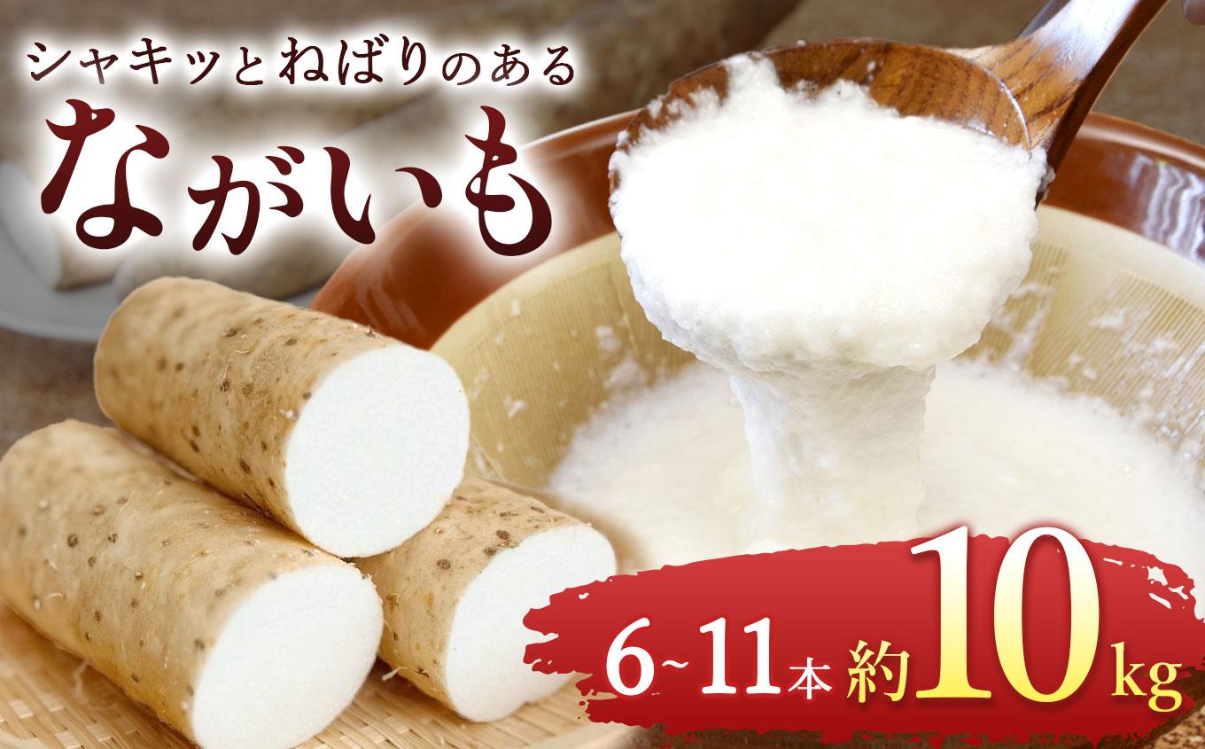 ながいも 約 10kg（6本～11本） | 野菜 やさい 長芋 ながいも  粘り お好み焼き ねばねば 食感 漬物 美容 長野県 塩尻市