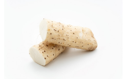 ながいも 約 10kg（6本～11本） | 野菜 やさい 長芋 ながいも  粘り お好み焼き ねばねば 食感 漬物 美容 長野県 塩尻市