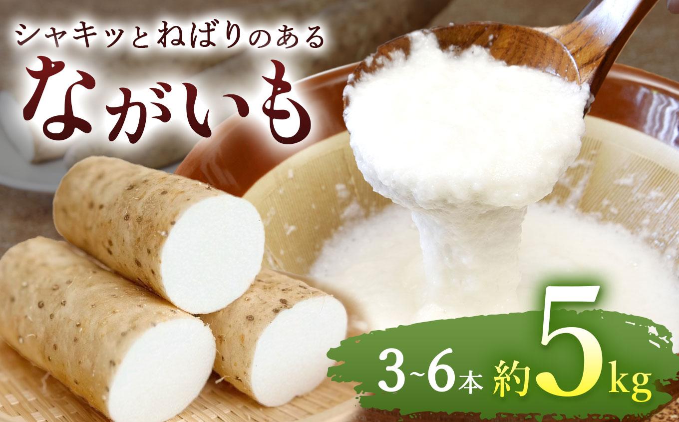 ながいも 約 5kg（3本～6本） | ながいも 野菜 やさい やまいも 長芋 長いも とろろ 粘り お好み焼き ねばねば 食感 漬物 美容 長野県 塩尻市