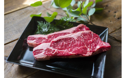 信州プレミアム牛 サーロイン 約600g | お肉 肉 にく 牛肉 ぎゅうにく サーロイン ステーキ プレミアム牛 信州牛 信州 長野県 塩尻市