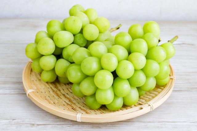 【農林水産大臣賞受賞】 《果汁１００％》 信濃ワイン 塩尻産メルロー・シャルドネ プレミアムジュース2本セット ≪化粧箱入り≫ | 果汁飲料 ジュース ぶどうジュース ぶどう 葡萄 メルロー シャルドネ 農林水産大臣賞 セット 信濃ワイン 飲み比べ 500ml 果汁飲料 ストレート ストレートジュース 長野県産 信州 塩尻市 長野県