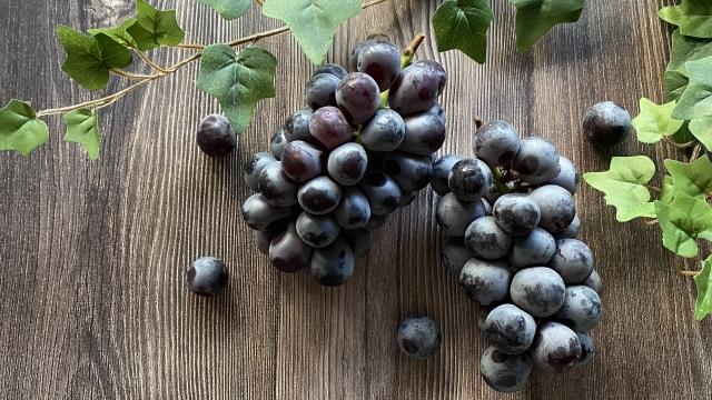 【農林水産大臣賞受賞】 《果汁１００％》 信濃ワイン 塩尻産メルロー・シャルドネ プレミアムジュース2本セット ≪化粧箱入り≫ | 果汁飲料 ジュース ぶどうジュース ぶどう 葡萄 メルロー シャルドネ 農林水産大臣賞 セット 信濃ワイン 飲み比べ 500ml 果汁飲料 ストレート ストレートジュース 長野県産 信州 塩尻市 長野県