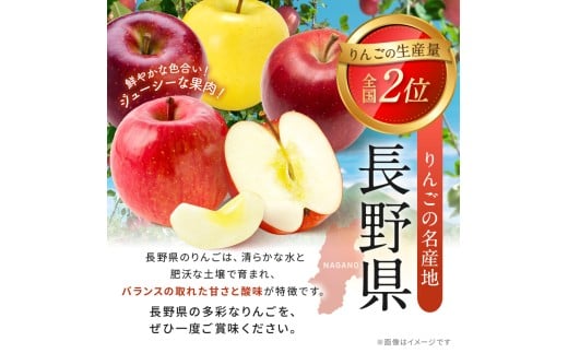 アルプス 信州産 りんごストレート缶ジュース《無添加》160g×16本 | りんご りんごジュース 無添加 ジュース アップルジュース セット アルプス ストレート ストレートジュース クリアタイプ 160g 果汁飲料 長野県産 信州 塩尻市 長野県