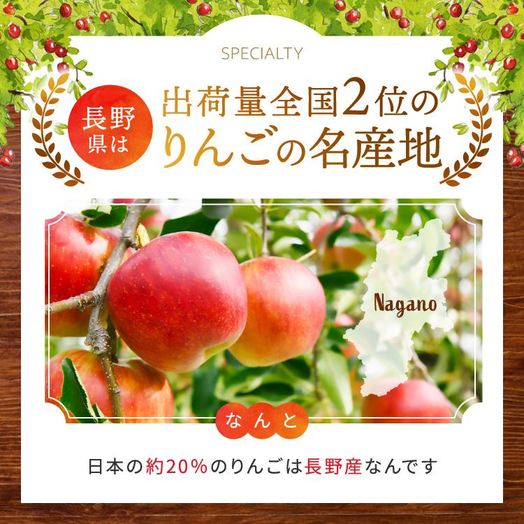 《果汁１００％》 アルプス 信州りんご ストレートジュース　飲み比べセット 1000ml × 2本 ≪化粧箱入り≫ | りんご りんごジュース ジュース アップルジュース セット アルプス ストレート ストレートジュース 飲み比べ 1000ml 果汁飲料 長野県産 信州 塩尻市 長野県
