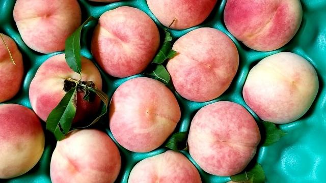 《果汁１００％》 アルプス信州りんご ・ もも ストレートジュースセット 710ml×2本 ≪化粧箱入り≫ | りんご りんごジュース ジュース アップルジュース 桃 白桃 桃ジュース セット アルプス ストレート ストレートジュース 飲み比べ 710ml 果汁飲料 長野県産 信州 塩尻市 長野県