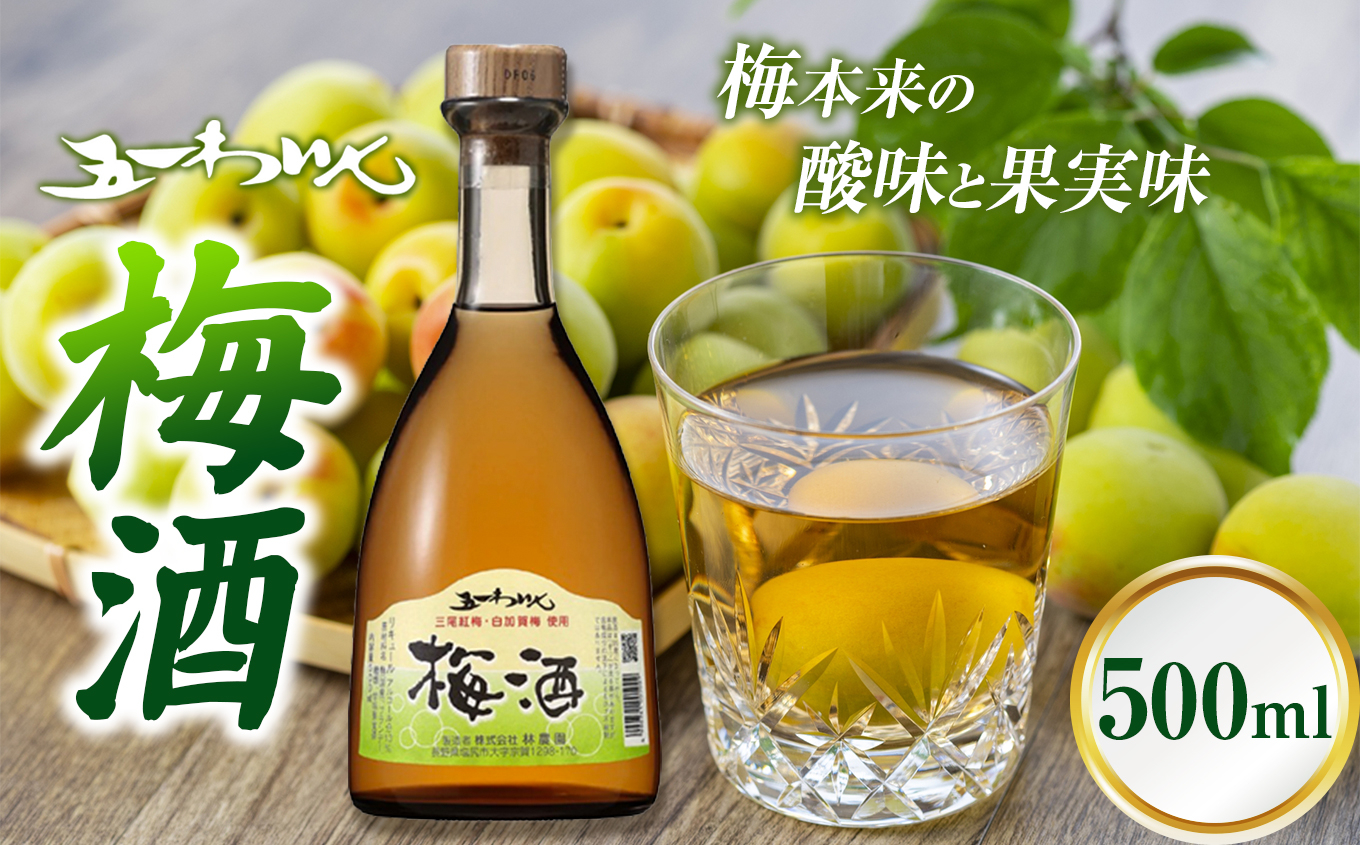 五一わいん 梅酒 | 五一わいん 林農園 梅酒 三尾紅梅 白加賀梅 フレンチオーク樽 熟成 長野県 塩尻市