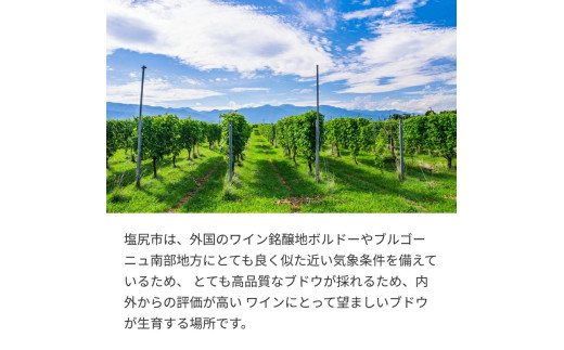 信濃ワイン 信濃カベルネ・ソービニヨン | ワイン カベルネ・ソービニヨン 赤 信濃ワイン 華やかな香り