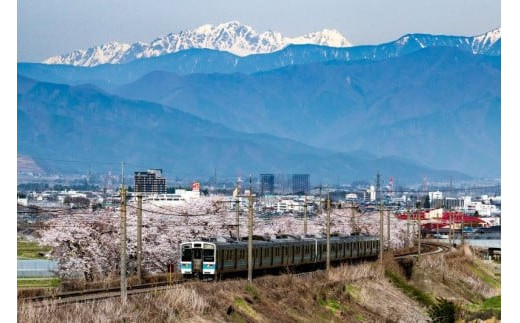 信濃ワイン 信濃カベルネ・ソービニヨン | ワイン カベルネ・ソービニヨン 赤 信濃ワイン 華やかな香り