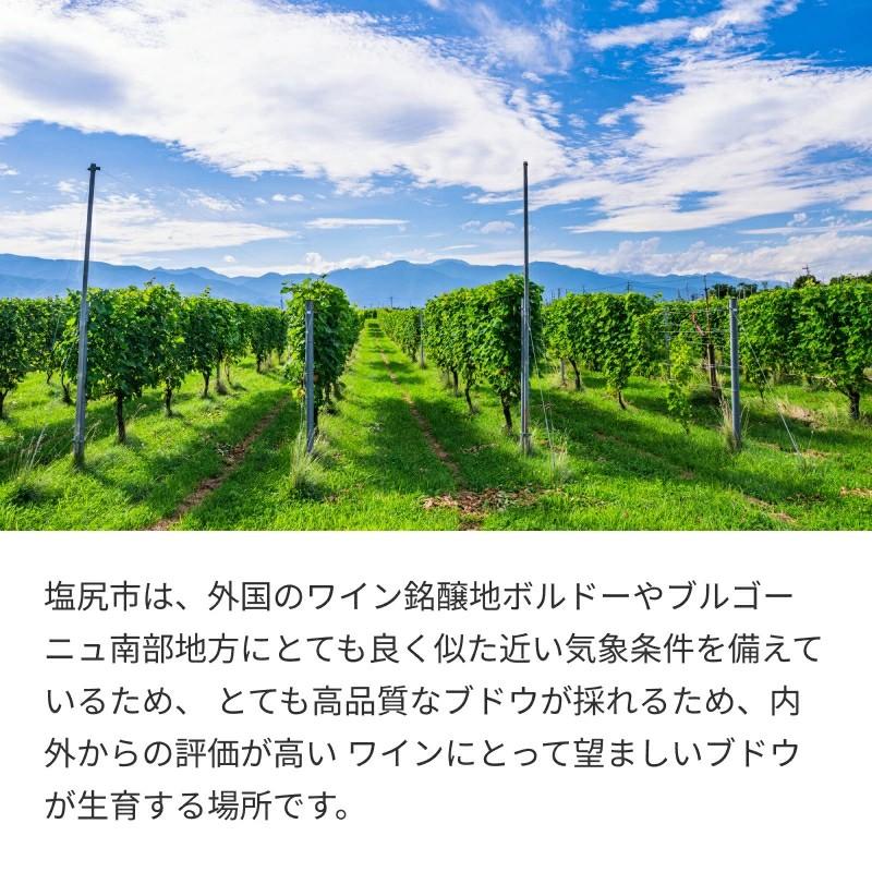 アルプス ブランデー ザ・アルプス20年 | アルプス ブランデー コニャック リムサン産樽 ナイアガラ種 長野県 塩尻市