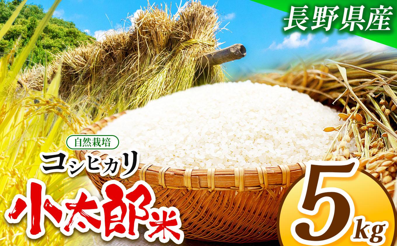 自然栽培コシヒカリ小太郎米（精米出荷）5Kg｜米 こしひかり コシヒカリ 白米 お米 自然栽培 自然農法 無農薬 塩尻市 長野県 信州
