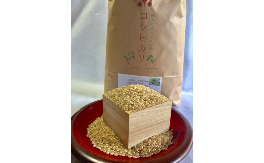 閾ェ辟カ譬ス蝓ケ繧ウ繧キ繝偵き繝ェ蟆丞、ェ驛守アウシ育イセ邀ウ蜃コ闕キシ5Kgス懃アウ 縺薙@縺イ縺九j 繧ウ繧キ繝偵き繝ェ 逋ス邀ウ 縺顔アウ 閾ェ辟カ譬ス蝓ケ 閾ェ辟カ霎イ豕 辟。霎イ阮ャ 蝪ゥ蟆サ蟶 髟キ驥守恁 菫。蟾