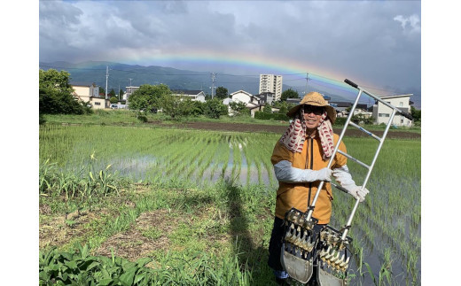 閾ェ辟カ譬ス蝓ケ繧ウ繧キ繝偵き繝ェ蟆丞、ェ驛守アウシ育イセ邀ウ蜃コ闕キシ5Kgス懃アウ 縺薙@縺イ縺九j 繧ウ繧キ繝偵き繝ェ 逋ス邀ウ 縺顔アウ 閾ェ辟カ譬ス蝓ケ 閾ェ辟カ霎イ豕 辟。霎イ阮ャ 蝪ゥ蟆サ蟶 髟キ驥守恁 菫。蟾