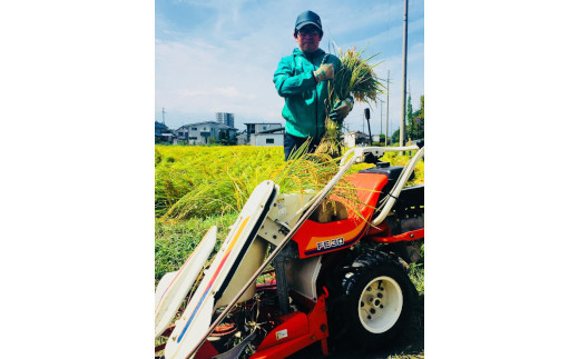 閾ェ辟カ譬ス蝓ケ繧ウ繧キ繝偵き繝ェ蟆丞、ェ驛守アウシ育イセ邀ウ蜃コ闕キシ5Kgス懃アウ 縺薙@縺イ縺九j 繧ウ繧キ繝偵き繝ェ 逋ス邀ウ 縺顔アウ 閾ェ辟カ譬ス蝓ケ 閾ェ辟カ霎イ豕 辟。霎イ阮ャ 蝪ゥ蟆サ蟶 髟キ驥守恁 菫。蟾