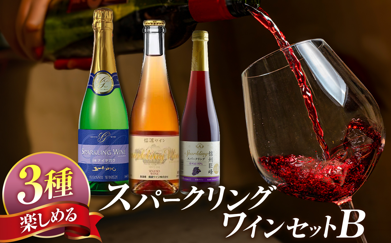 塩尻産スパークリングワイン 3本セットB｜ワイン わいん スパークリング セット 飲み比べ 長野県 塩尻市