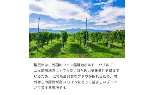 塩尻産スパークリングワイン 3本セットB｜ワイン わいん スパークリング セット 飲み比べ 長野県 塩尻市