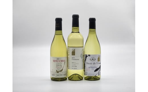 塩尻産ワイン シャルドネ 3本セット | ワイン わいん 白ワイン シャルドネ セット 飲み比べ 信濃ワイン 井筒ワイン アルプス お酒 酒 塩尻市 長野県