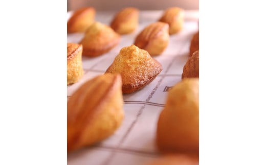 信州りんご蜜を使用したマドレーヌ２種類詰合せ（8個）