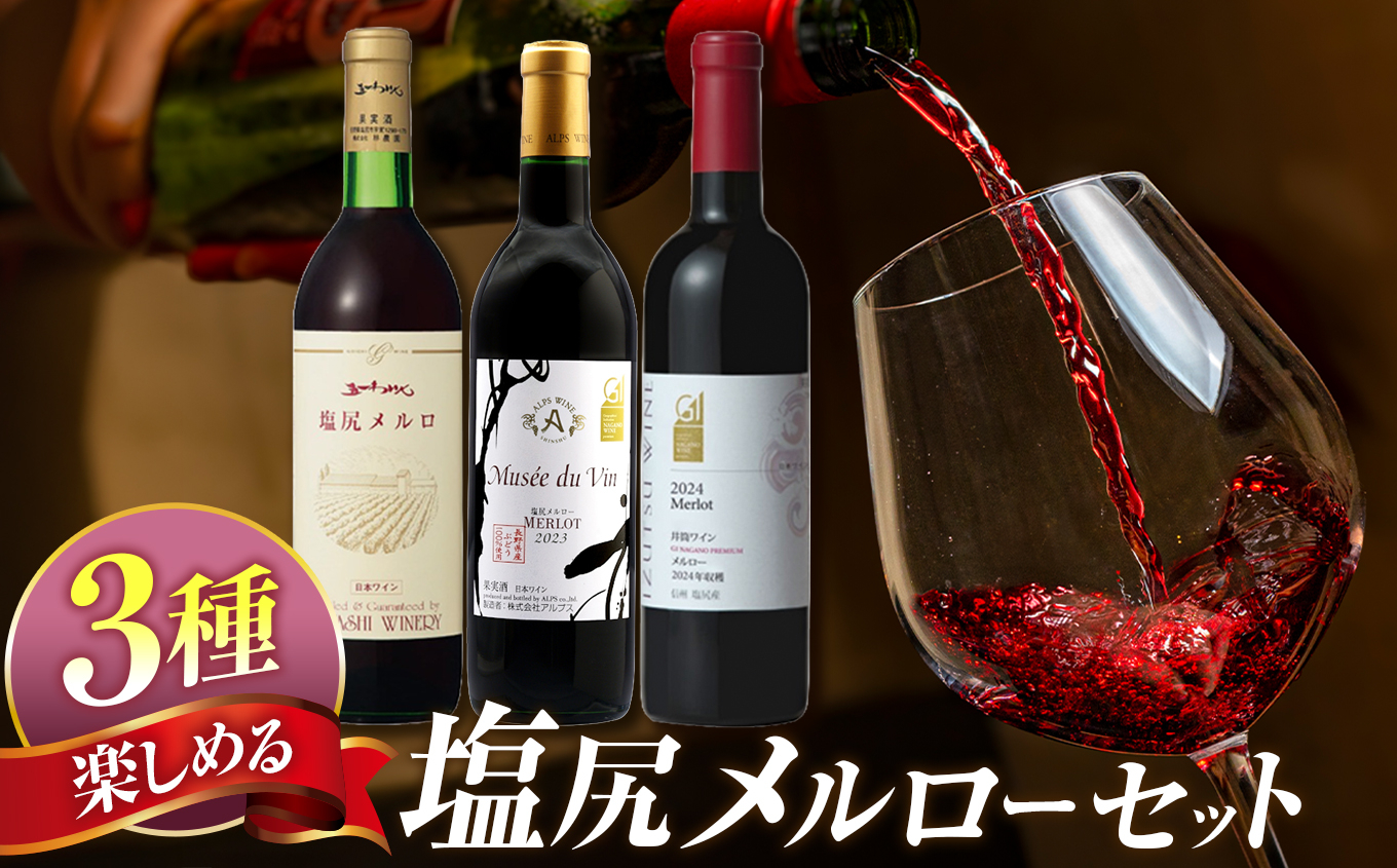 塩尻産ワイン メルロー 3本セット｜塩尻ワイン 赤 メルロー セット 飲み比べ 五一わいん 林農園 アルプス 井筒ワイン Mdv  長野県 塩尻市