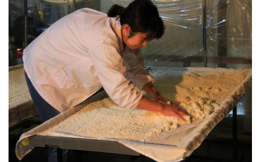 【高波Frozen】しぼりたて生酒を瞬間凍結。凍結酒飲み比べ 大吟醸酒＋純米大吟醸酒２種セット 720ml×2本 |  凍結酒 酒 日本酒 凍結 冷凍保存 アルコール 飲み比べ セット しぼりたて フレッシュ 長野県 塩尻市