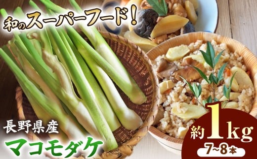 【2026年 先行予約】完全自然栽培マコモダケ 約1kg 【2026年9月中旬～発送予定】|マコモダケ まこもだけ マコモ たけのこ トウモロコシ 長野県 塩尻市