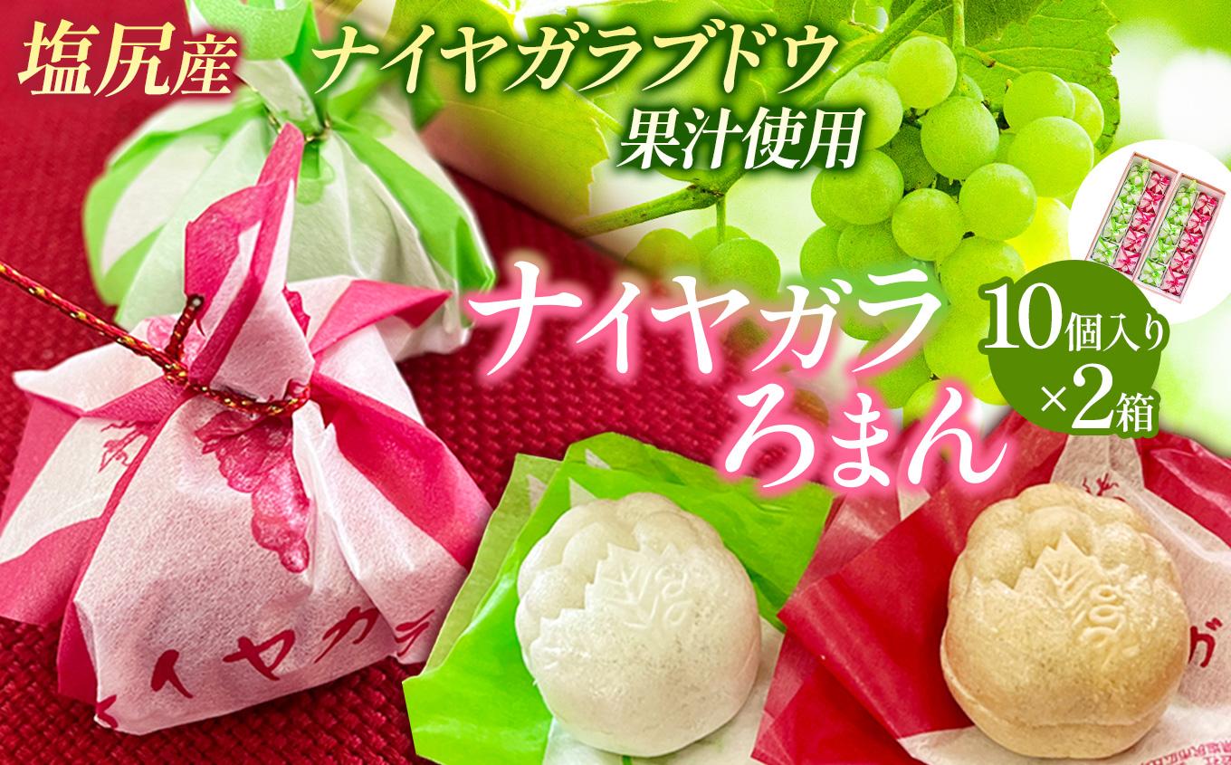 ナイヤガラろまん 10個入り×2箱 ｜ 最中 ナイヤガラ餡 コンコード餡 ぶどう果汁 ぶどう風味 ギフト 銘菓 人気 塩尻市 長野県
