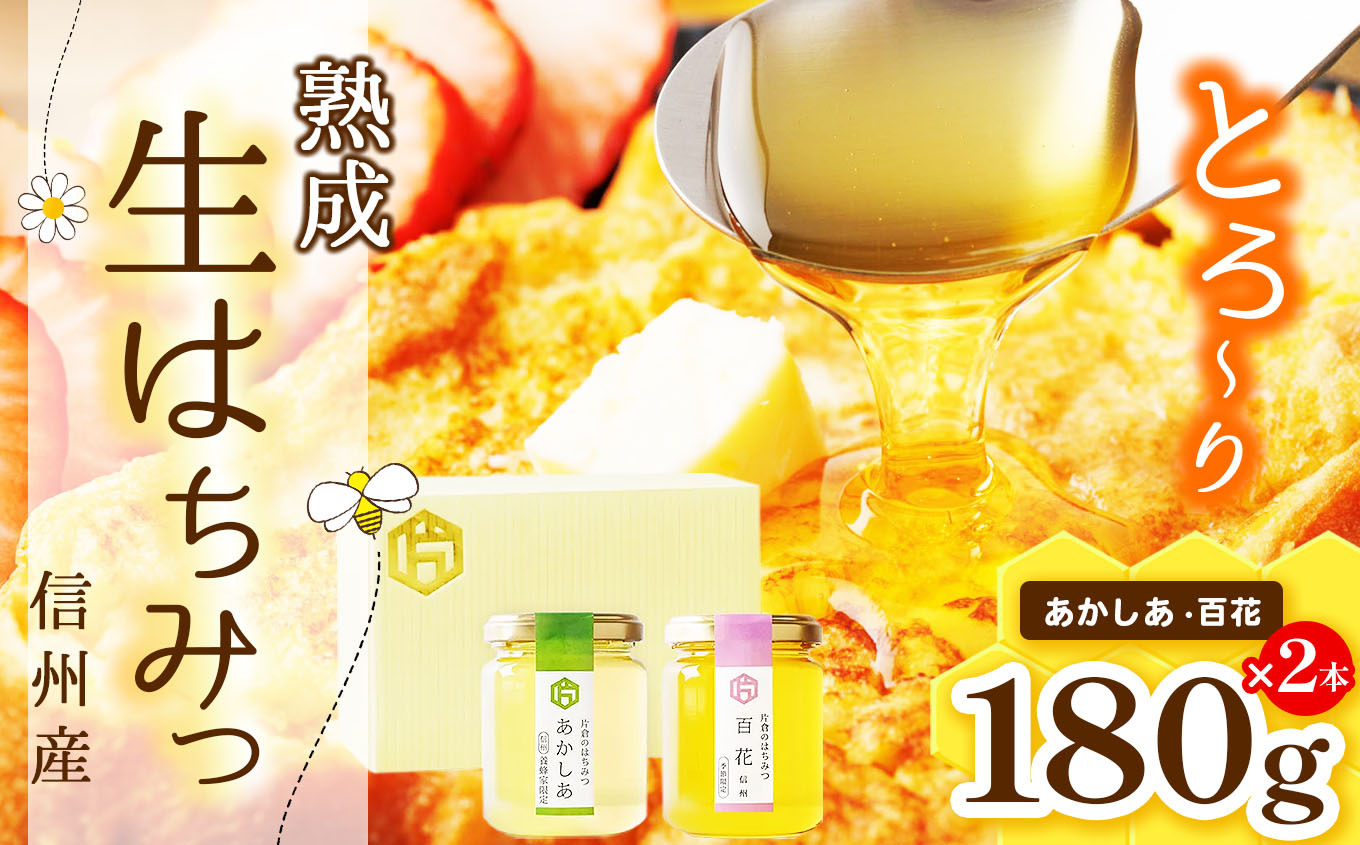 【熟成生はちみつ】信州産はちみつ　２本セット　（あかしあ・百花　信州）