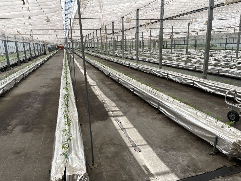 【ノムさんのトマト】トマトケチャップとトマトソースの詰め合わせ