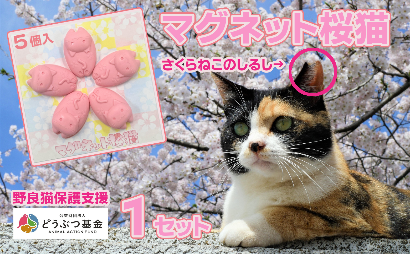 マグネット桜猫　5個入り1セット[6161073][野良猫保護支援 保護猫 ねこ のらねこ さくらねこ どうぶつ基金 マグネット 磁石]