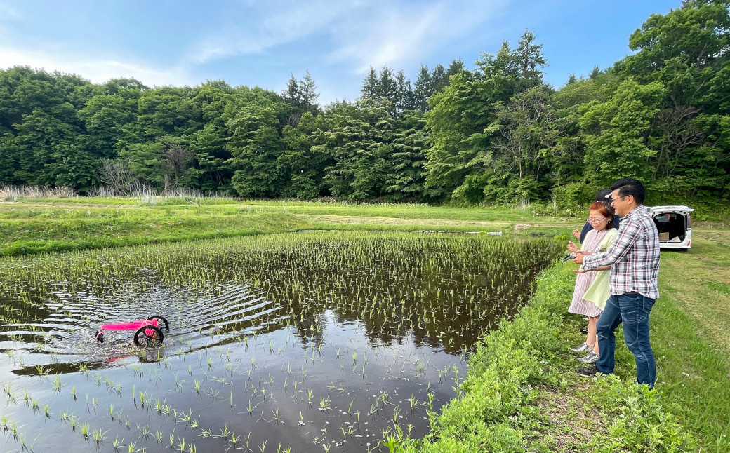 令和5年産 自然栽培(農薬・肥料不使用、天日干し)イセヒカリ 5kg 玄米