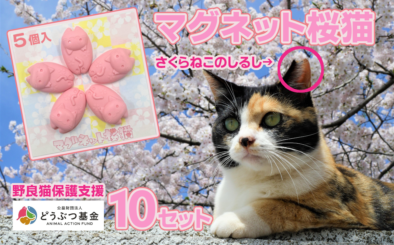 マグネット桜猫　5個入り10セット[6161071][野良猫保護支援 保護猫 ねこ のらねこ さくらねこ どうぶつ基金 マグネット 磁石]