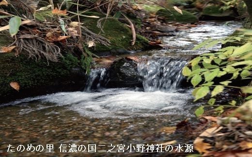 M-02　信州塩尻たのめの里 大分水嶺(だいぶんすいれい)の天然水（6回お届け）