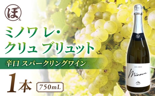 スパークリングワイン「ミノワ レ・クリュ・ブリュット」 1 本|  国産 長野県 長野ワイン とうみワイン【ぼんじゅーる農園醸造所】