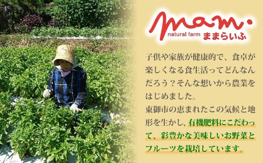 くるみのジェノベーゼ（2個）とブルーベリークリームチーズ（1個）【ナチュラルファームままらいふ】