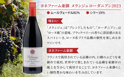 日本ワインコンクール金賞受賞！長野ワイン（赤白ワイン）飲み比べ 2本セット｜【ヴィラデストワイナリー】ソーヴィニョンブラン（GI長野 認定ワイン）、【ヨネファーム東御】メランジュ ローダニアン 鞍掛金井ヴィンヤード ｜長野 東御 