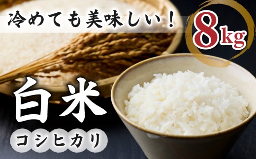 白米8kg（4kg×2袋） 冷めても美味しいコシヒカリ【小田農園】｜最短4～7日程度でお届け　※着日指定不可