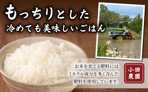 白米8kg（4kg×2袋） 特A米 冷めても美味しいコシヒカリ【小田農園】｜最短4～7日程度でお届け　※着日指定不可